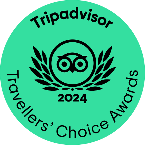 TripAdvisor Icon